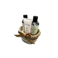 AURORA SET3 ALOE 1571