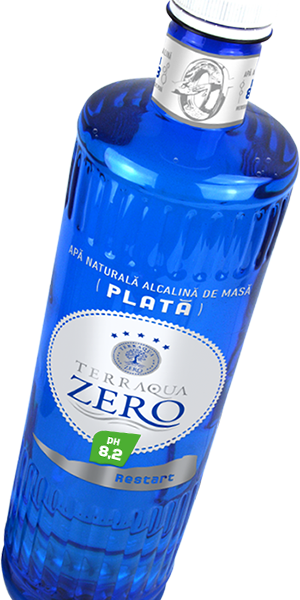 TERRAQUA ZERO 0.5L APA PLATA/12